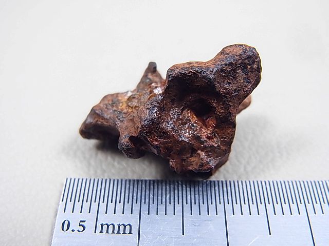 画像: イミラック・パラサイト（石鉄）隕石 8.9g