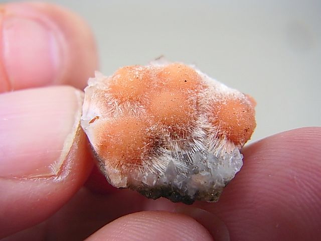 画像: ミシガン産トムソナイト（オレンジカラー）原石 3.1g