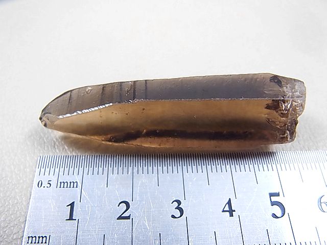画像: ザンビア産天然スモーキーシトリン水晶ポイント（レコードキーパー付き） 16.6g