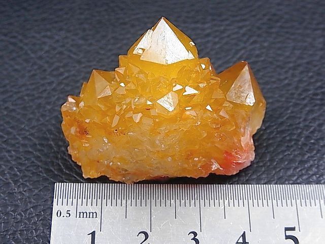 ゴールデンヒーラー - 通販 - www.photoventuresnamibia.com