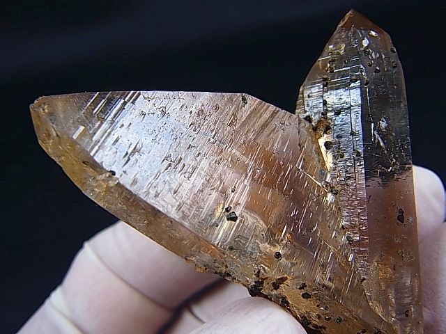 画像: ガネーシュヒマール・ヒンドゥン産ゴールデンヒーラー水晶ポイント（双晶/アナテース付き） 49.4g