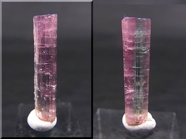 画像: ブラジル産バイカラートルマリン（ピンク＆ブルー）柱状結晶 5.1カラット