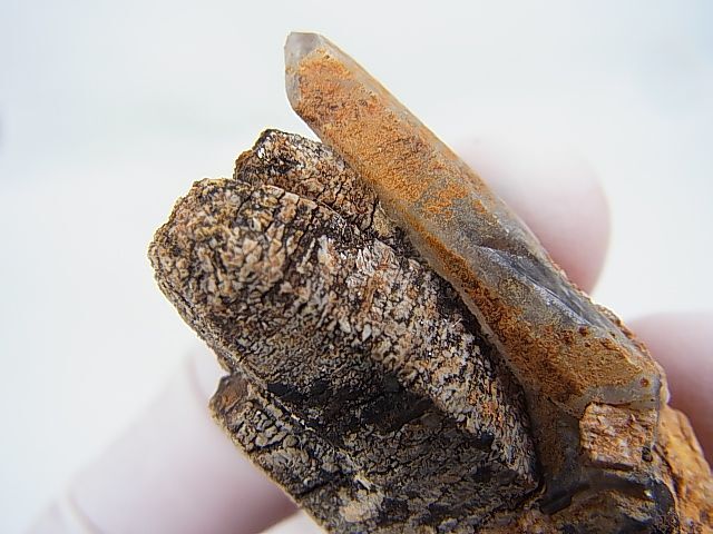 画像: マラウイ産パリサイト＆水晶原石 32.1g