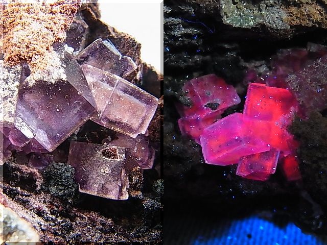 画像: メキシコ・オハエラ鉱山産フローライト原石（赤色蛍光） 207.9g