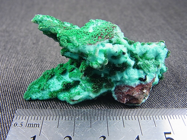 画像: コンゴ産クリソコラ＆ダイオプテーズ（ジェムシリカ付き）ドゥルージ原石 15.0g