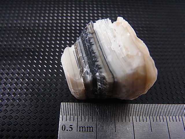 画像: Hokkaidoite北海道然別湖産蛍光オパール原石 8.4g