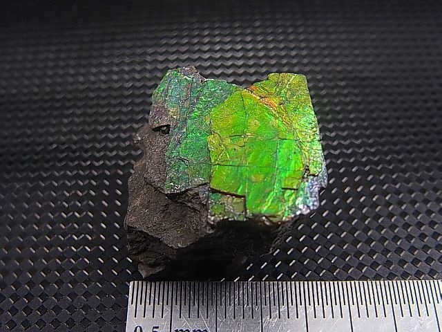 画像: カナダ・アルバータ産アンモライト原石 10.7g