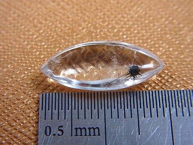 画像: マダガスカル産ホーランダイトインクオーツ研磨原石 1.0g