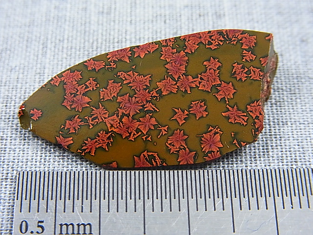 画像: 飯盛ラボストーン（IL-stone）「レアカラー：ブラッドストーン（紅葉石）」ガラス原石（片面研磨） 18.5カラット