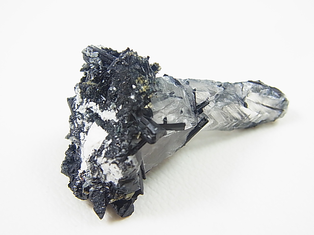 画像: 広西チワン族自治区産インターフェレンス（ブラックトルマリン）水晶 9.9g