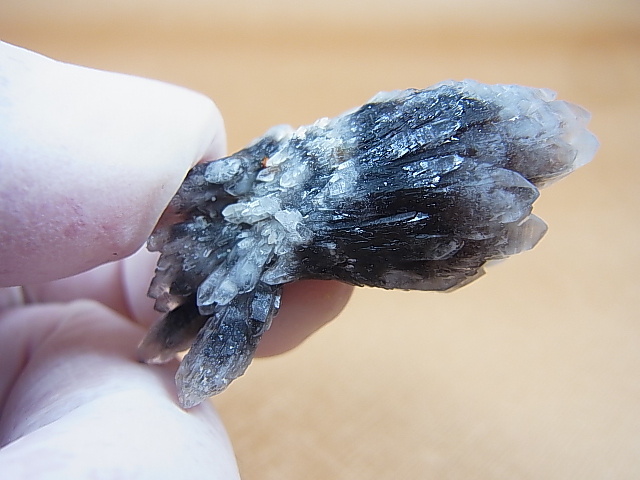 画像: 尾平鉱山産クローライト入り水晶（連晶） 7.3g