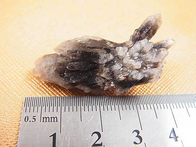 画像: 尾平鉱山産クローライト入り水晶（連晶） 7.3g