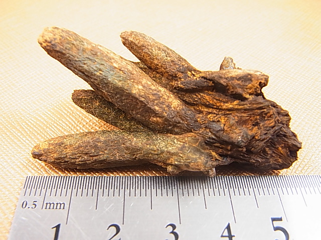 画像: 柿野鉱山産緑水晶（ヘデンベルガイト/緑閃石入りインターフェレンス型/連晶） 18.4g