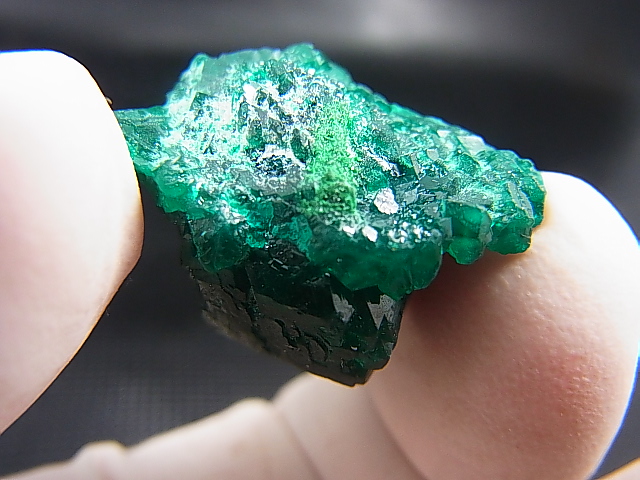 画像: コンゴ産ダイオプテーズ原石（大粒結晶） 7.0g