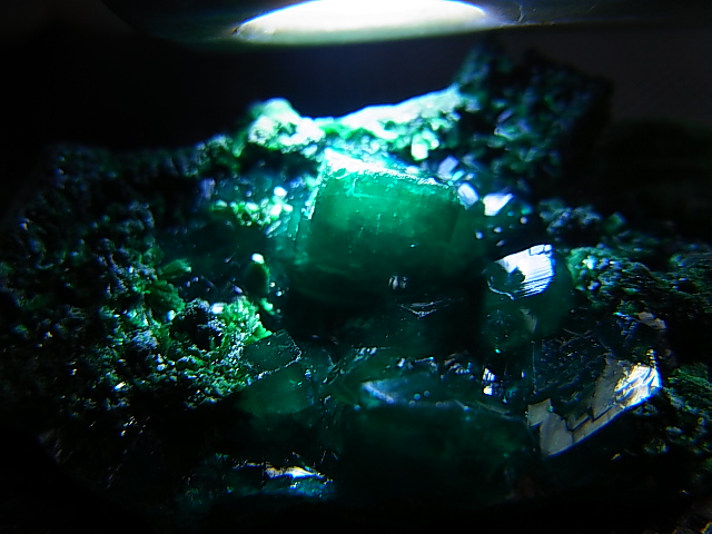画像2: コンゴ産ダイオプテーズ原石（大粒結晶） 20.0g
