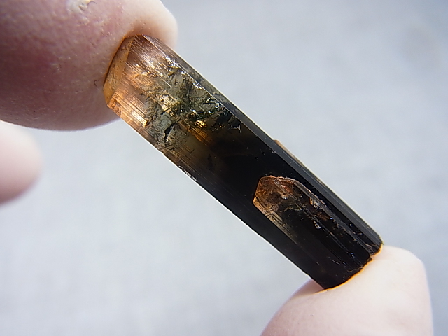 画像: マダガスカル産バイカラーエルバイト（リチアトルマリン）柱状結晶 10.2カラット