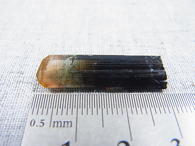 画像: マダガスカル産バイカラーエルバイト（リチアトルマリン）柱状結晶 10.2カラット