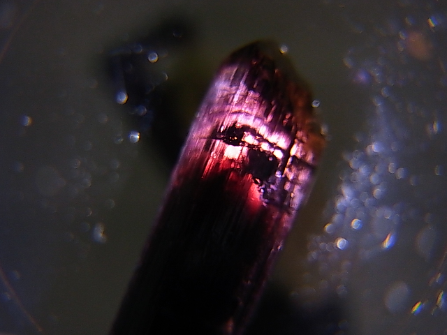 画像: マダガスカル産ピンクエルバイト（リチアトルマリン）柱状結晶 12.7カラット