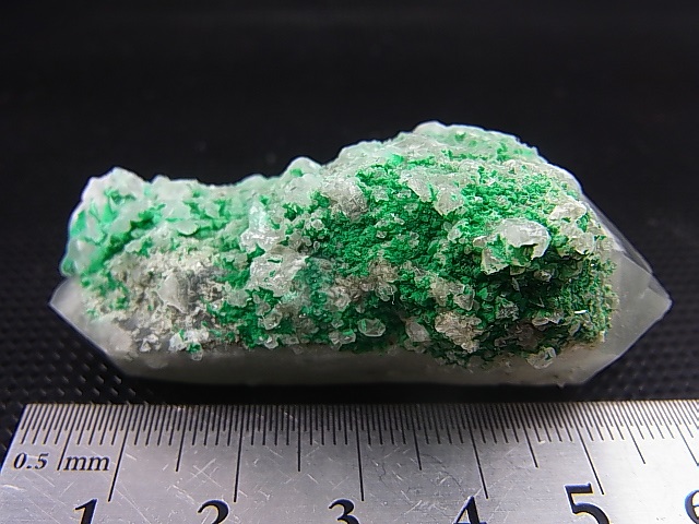 画像: 南アフリカ・メッシーナ鉱山産クリソコラonクォーツ 45.4g