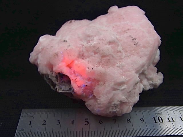 画像: キャビネットサイズ：南アフリカ産ピンクマンガンカルサイト原石（強蛍光） 513.0g