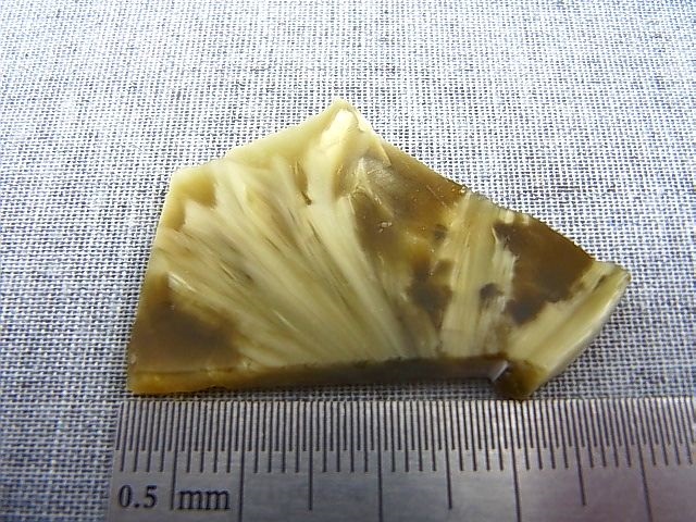 画像: ヴィクトリアストーン（飯盛ラボストーンIL-stone）ゴールド原石 24.3カラット