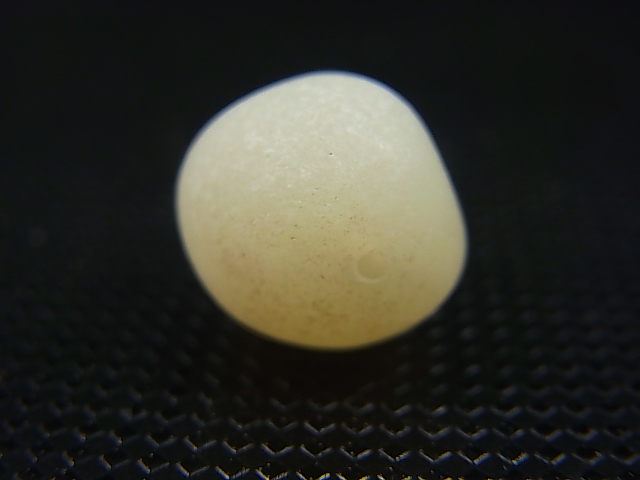 画像1: 和田玉（ホータンぎょく）「羊脂白玉」オリジナルビーズ 約15×13.5×13mm
