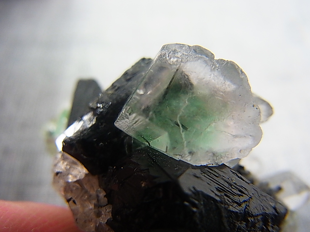 画像: ナミビア・エロンゴ産フローライト＆ショール＆水晶原石 16.7g