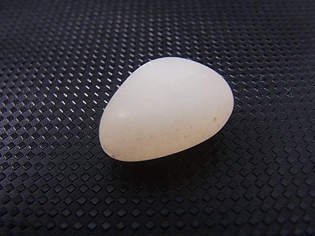 画像: 和田玉（ホータンぎょく）「羊脂白玉」オリジナルビーズ 約18×13.5×10mm