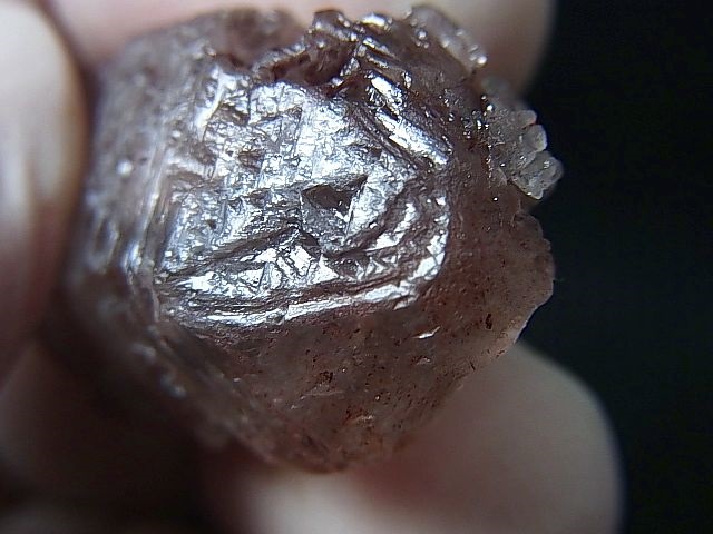 画像2: インド・ヒマラヤ・クル渓谷産アイスクリスタル/ニルバーナクオーツ（トライゴーニック付き） 12.7g