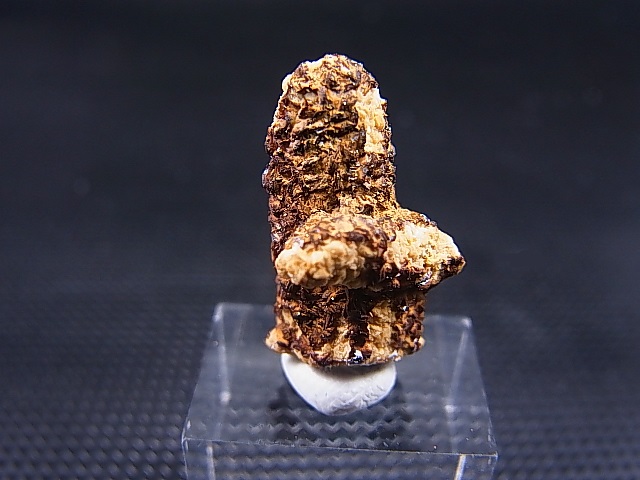画像2: ドイツ・ザクセン州産クローライト入りグリーン水晶（シデライト付着） 2.1g