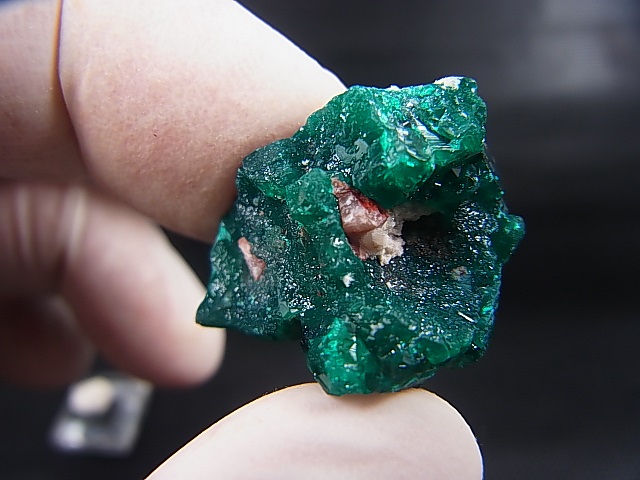 画像: コンゴ産ダイオプテーズ原石（大粒結晶） 7.7g