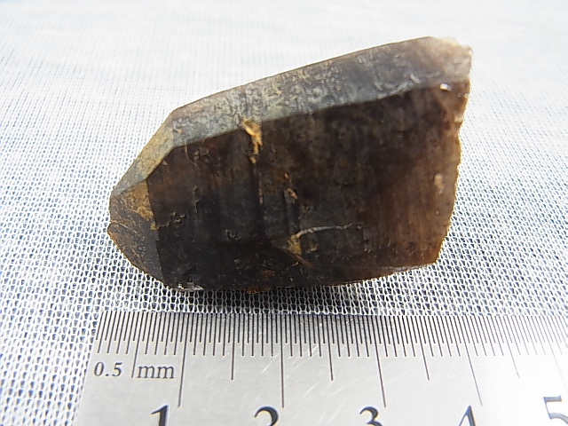 画像: フィンランド・リプシニエミ産モリオン（黒水晶/ケアンゴーム） 19.2g