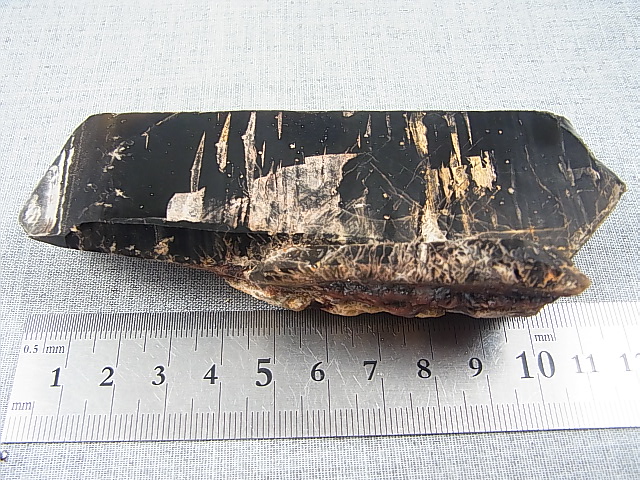 画像: キャビネットサイズ：フィンランド・リプシニエミ産モリオン（黒水晶/ケアンゴーム） 207.8g