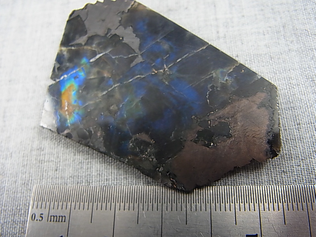 画像: フィンランド・ユレマー産スペクトロライト（ブルーマトリクス）ハイパースシーン入り研磨スライス 30.4g