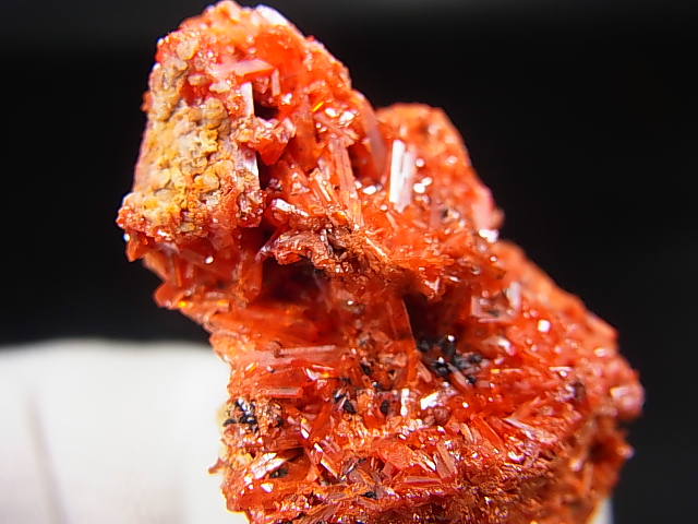 画像: ドイツ・ザクセン州産クロコアイト 33.0g