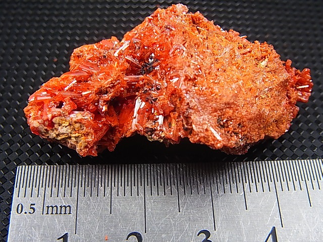 画像: ドイツ・ザクセン州産クロコアイト 33.0g