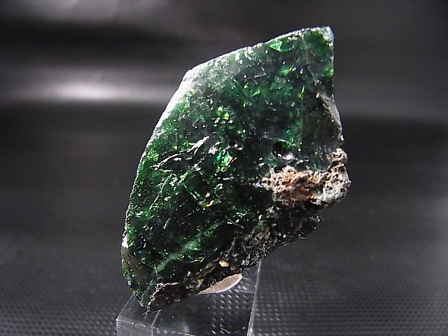 画像: スウェーデン産グリーンスウェディッシュスラグ 44.1g