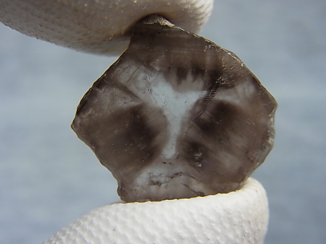 画像: ノルウェー産トラピチェ・スモーキー水晶研磨スライス 3.3g