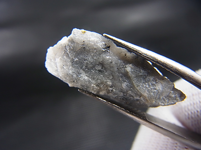 画像: フランス・オートヴィエンヌ産自然金 1.6g