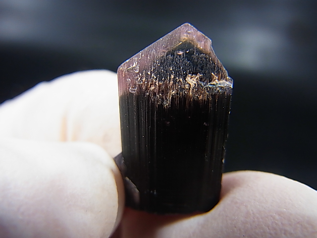画像: マダガスカル産バイカラーエルバイト（リチアトルマリン）柱状結晶 15.2カラット
