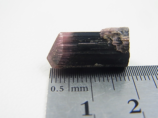 画像: マダガスカル産バイカラーエルバイト（リチアトルマリン）柱状結晶 15.2カラット