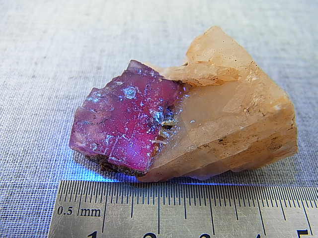 画像: メキシコ・オハエラ鉱山産フローライト原石（赤色蛍光） 47.2g