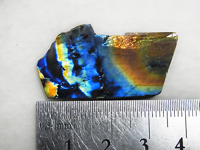 画像: フィンランド・ユレマー産スペクトロライト（ブルーマトリクス）研磨スライス 4.1g