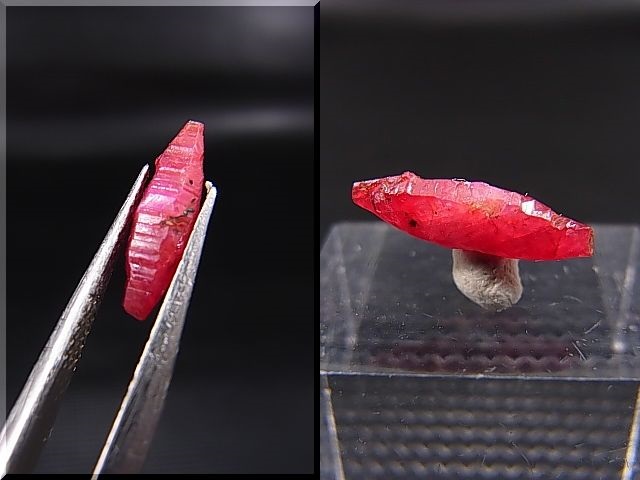 画像: ベトナムLuc Yen産シルキーサファイア原石（犬牙型） 1.1カラット