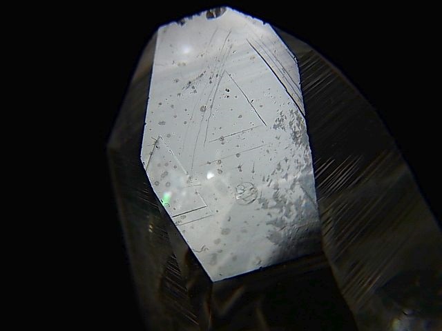 画像2: ペーニャブランカ産コロンビアン・レムリアンシード水晶ポイント（レコードキーパー付き） 21.1g