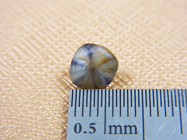 画像: ベトナムLuc Yen産サファイア原石（トラピチェ/自然研磨） 1.7カラット