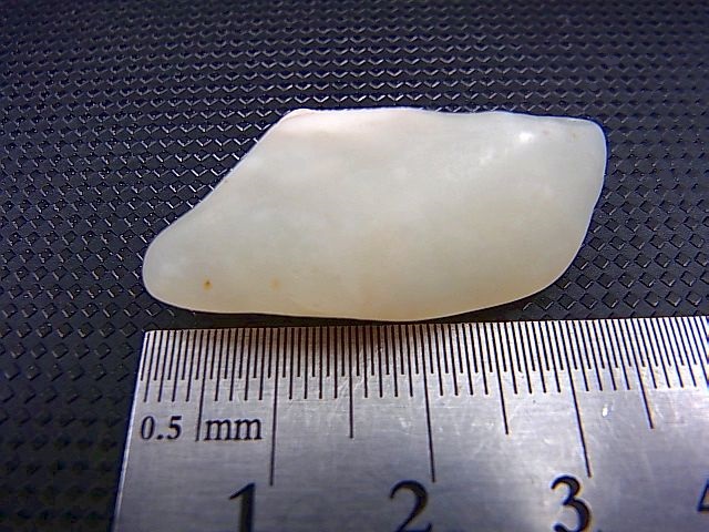 画像: 和田玉（ホータンぎょく）「無漂白/無着色・白玉」原石 8.3g