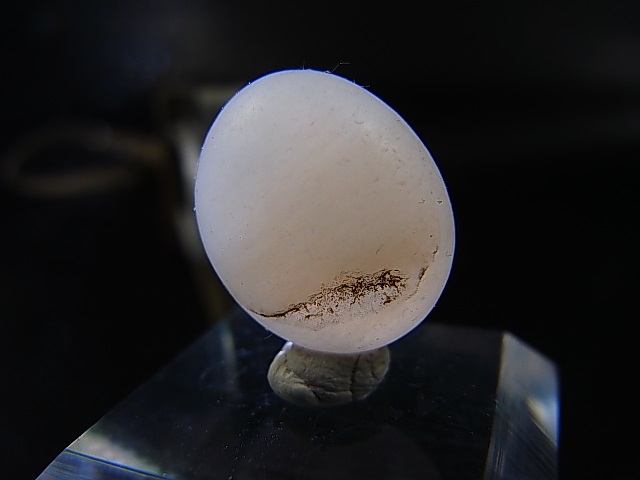 画像2: 和田玉（ホータンぎょく）「無漂白/無着色・白玉」原石 3.4g