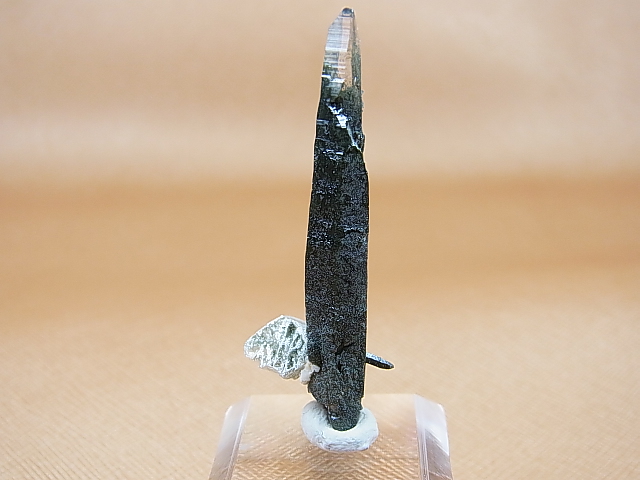 画像1: ガネーシュヒマール・リー産クローライト入りレーザーポイント水晶（貫入り） 3.8g