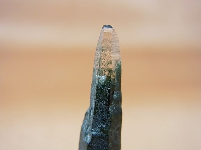 画像: ガネーシュヒマール・リー産クローライト入りレーザーポイント水晶（貫入り） 3.8g